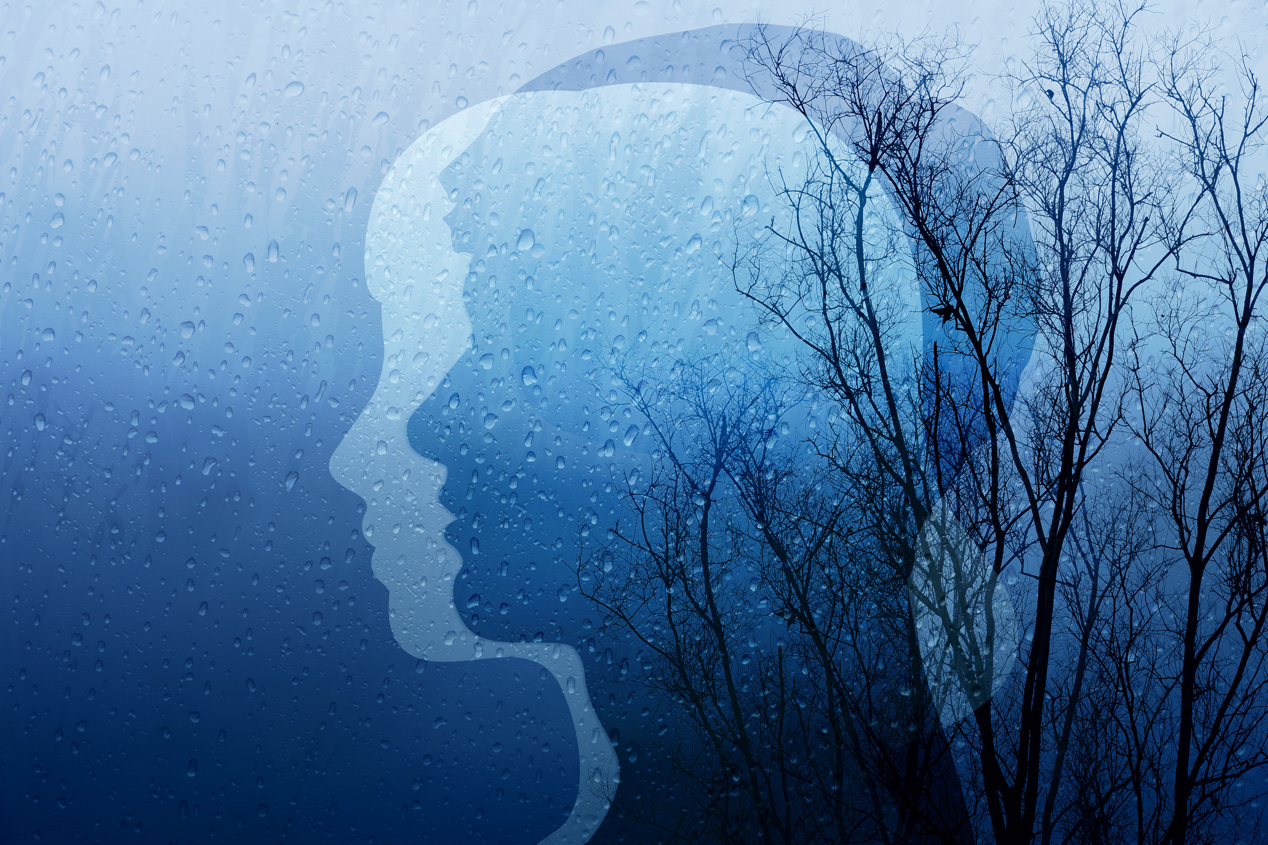 A silhouette of a human head is layered over a rainy window with water droplets, and leafless tree branches appear in the background, creating a melancholic, reflective mood.