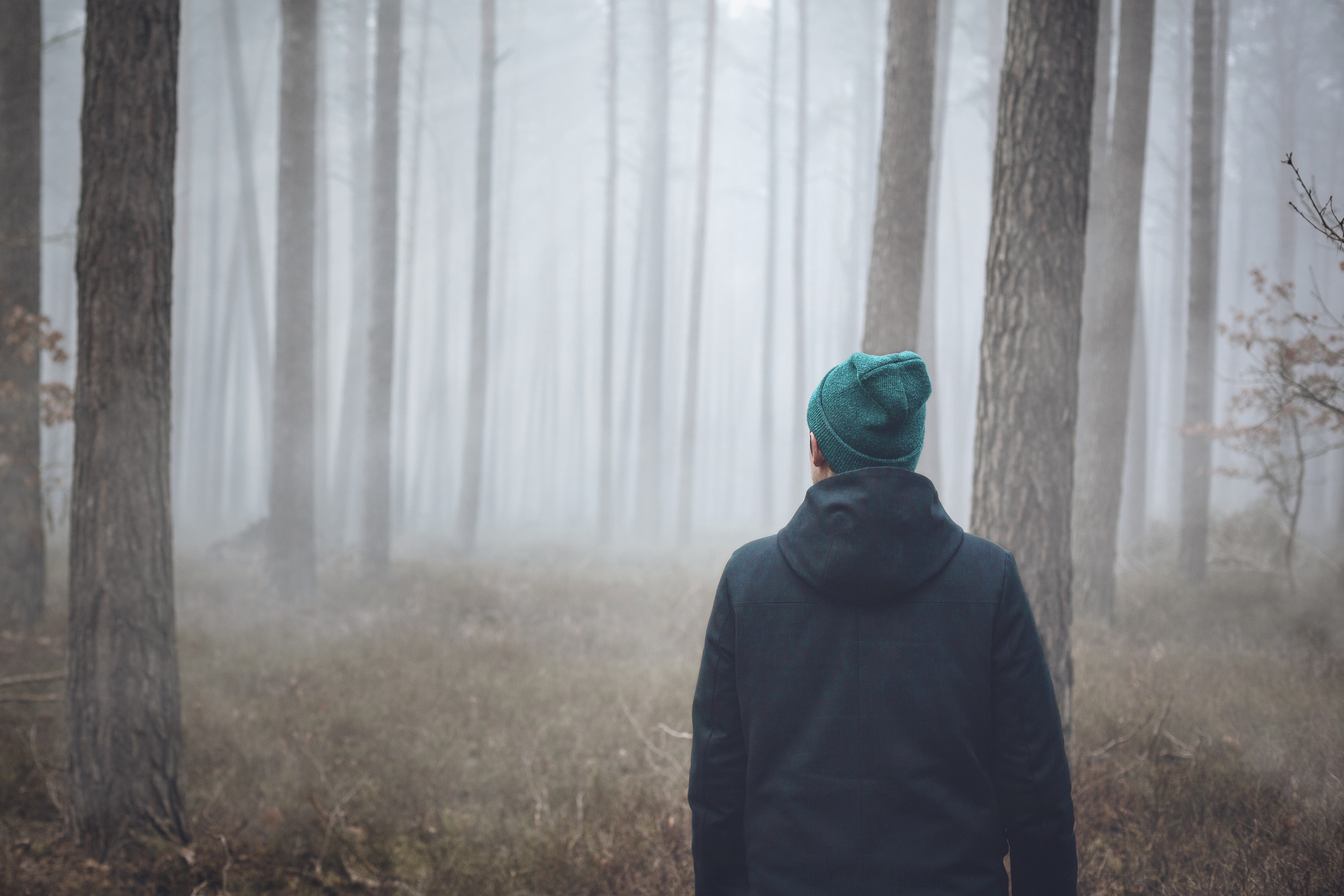 A person in a dark jacket and teal beanie stands facing a foggy forest with tall, thin trees, looking into the mist. The atmosphere is quiet and mysterious.