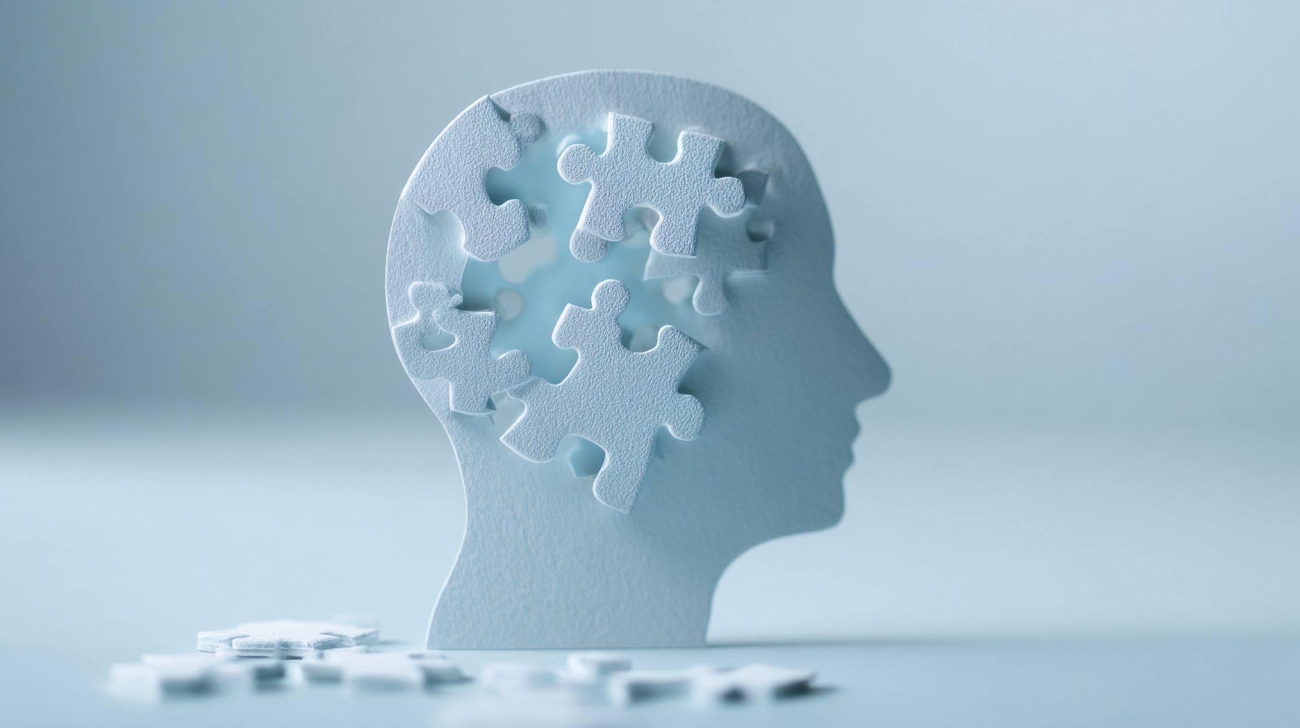 A white silhouette of a human head with puzzle pieces missing and scattered nearby, symbolizing mental health, psychiatric conditions, or problem-solving. The soft, out-of-focus background emphasizes the head figure.